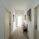 Ipanema With Private By Mykonos Mood Villa *